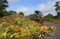 No Brasil, são desperdiçados 27 milhões de toneladas de alimentos por ano