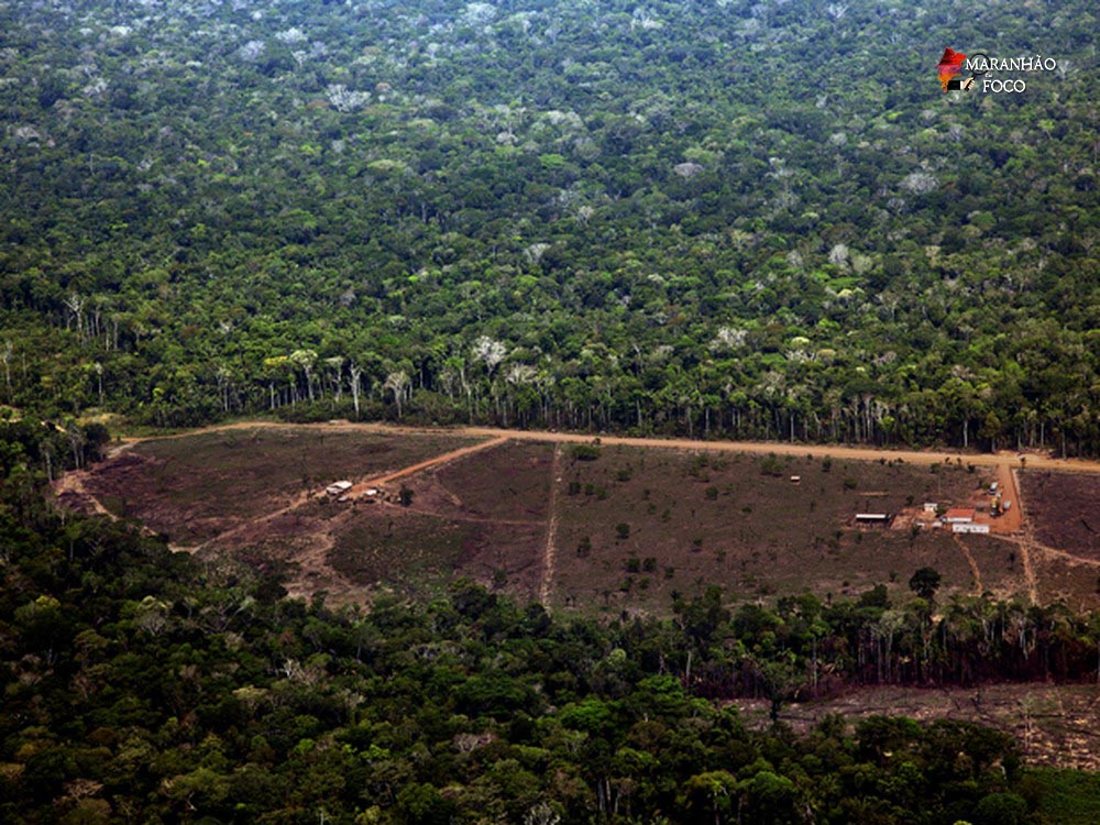 Área da Amazônia com alerta de desmatamento sobe 278% em julho, comparada ao mesmo mês de 2018
